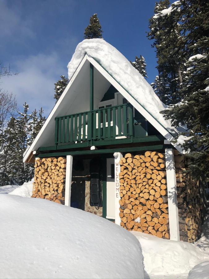 Bed and Breakfast Vines And Puppies Hideaway à Jade City Extérieur photo