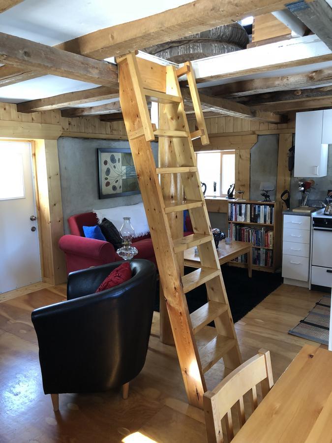 Bed and Breakfast Vines And Puppies Hideaway à Jade City Extérieur photo